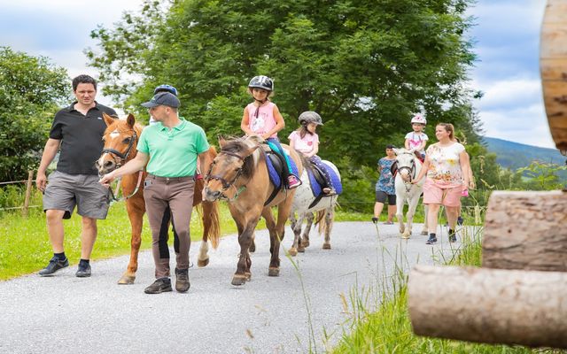 Familotel Steiermark Der Ponyhof – Familienhotel und Reiterparadies: Kleinkinder-Tage am Ponyhof