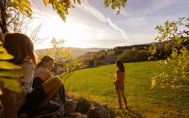 Herbstschnäppchen  image 1 - Familotel Steiermark Der Ponyhof – Familienhotel und Reiterparadies