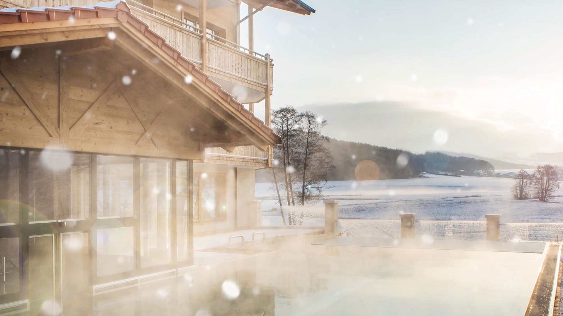 Natur- & Wellnesshotel Brunner Hof 4****S, Arnschwang