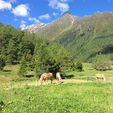 Umgebung , Chalet Mondstein, St. Sigmund im Sellrain, Tirol, Tirol, Österreich