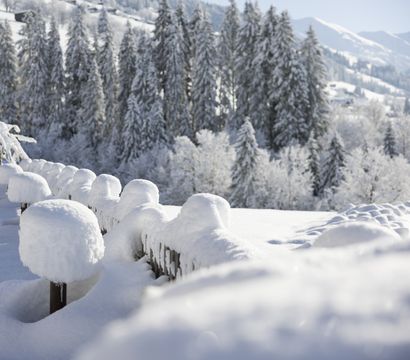 Offer: Winter & Wellness - Mountain & Spa Resort Alpbacherhof