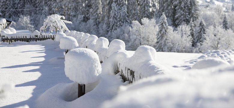 Mountain & Spa Resort Alpbacherhof: Winter & Wellness