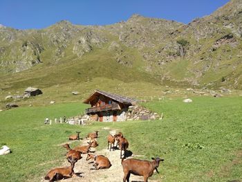 Oberpranterhütte - Trentino-Südtirol - Italien