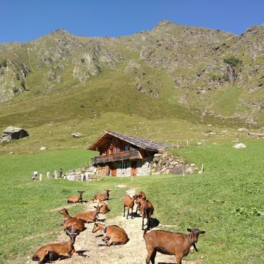Sommer, Oberpranterhütte, Meransen, Trentino-Südtirol, Italien