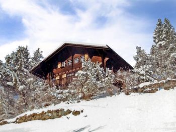 Chalet Jungfrau an der Ledi - Bern - Schweiz