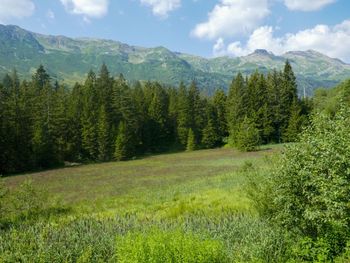 Rustico Cristallo - Tessin - Schweiz