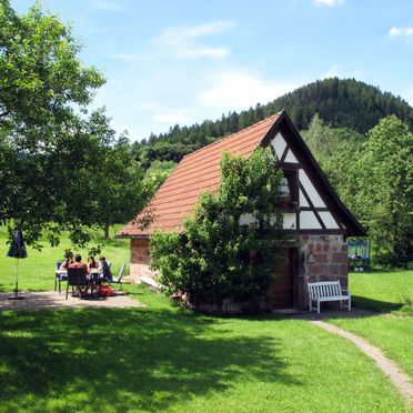 Außen Sommer 1 - Hauptbild, Ferienhütte Backhäusle, Alpirsbach-Ehlenbogen, Schwarzwald, Baden-Württemberg, Deutschland