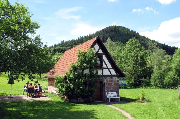 Außen Sommer 1 - Hauptbild, Ferienhütte Backhäusle, Alpirsbach-Ehlenbogen, Schwarzwald, Baden-Württemberg, Deutschland