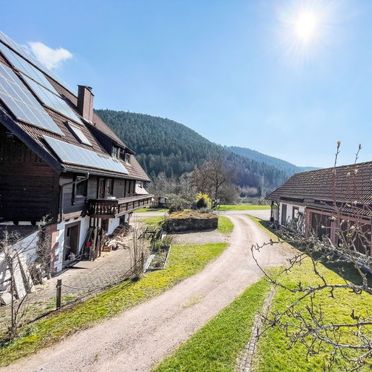 Außen Winter 20, Ferienhütte Backhäusle, Alpirsbach-Ehlenbogen, Schwarzwald, Baden-Württemberg, Deutschland