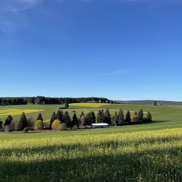 Innen Winter 48, Chalet "Schöne Aussicht" im Schwarzwald, Dittishausen, Schwarzwald, Baden-Württemberg, Deutschland