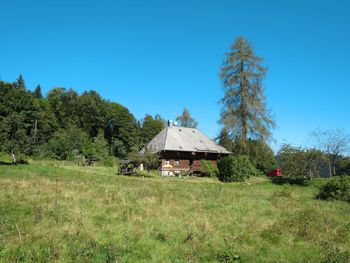 Schwarzwaldhütte Bistenhof - Baden-Württemberg - Deutschland