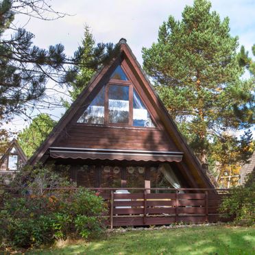 Außen Sommer 1 - Hauptbild, Ferienhütte Tennenbronn im Schwarzwald, Tennenbronn, Schwarzwald, Baden-Württemberg, Deutschland
