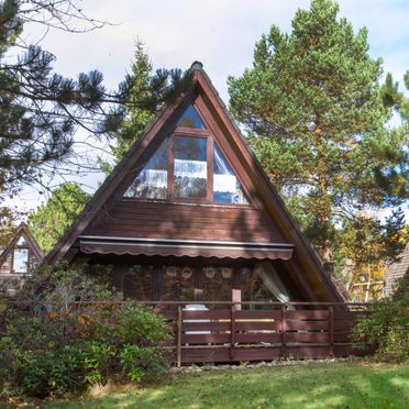 Außen Sommer 1 - Hauptbild, Ferienhütte Tennenbronn im Schwarzwald, Tennenbronn, Tennenbronn, Baden-Württemberg, Deutschland