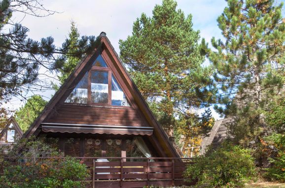 Außen Sommer 1 - Hauptbild, Ferienhütte Tennenbronn im Schwarzwald, Tennenbronn, Schwarzwald, Baden-Württemberg, Deutschland