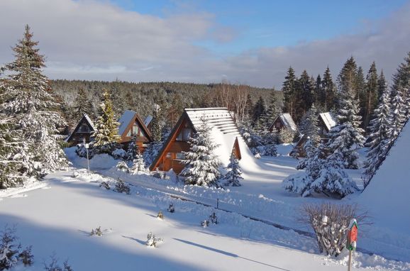 Außen Winter 16 - Hauptbild, Ferienhütte Tennenbronn im Schwarzwald, Tennenbronn, Tennenbronn, Baden-Württemberg, Deutschland