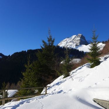 Innen Winter 30, Chalet La Poya, Moléson-sur-Gruyères, Freiburg, Freiburg, Schweiz