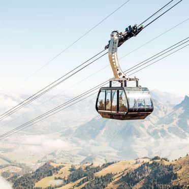 Inside Winter 28, Chalet La Poya, Moléson-sur-Gruyères, Freiburg, Fribourg, Switzerland