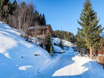 Chalet Börtji - Graubünden - Schweiz