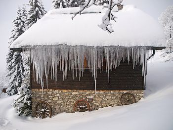 Ferienchalet de la Vue des Alpes im Jura - Jura - Schweiz