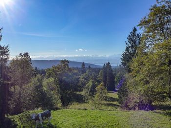 Ferienchalet de la Vue des Alpes im Jura - Jura - Schweiz