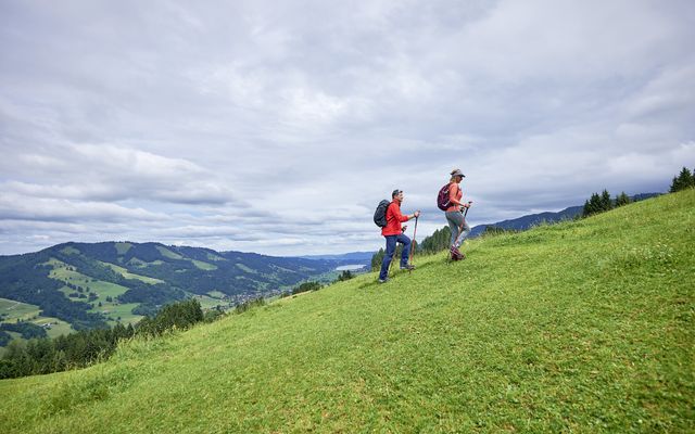 Paar wandert grünen Hügel hinauf