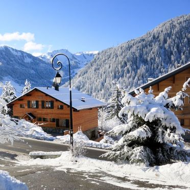 Außen Winter 31, Chalet fer à Cheval, Châtel, Savoyen - Hochsavoyen, Auvergne-Rhône-Alpes, Frankreich