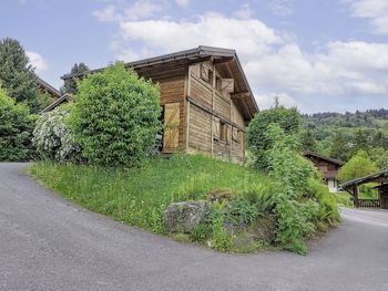 Chalet Farfadets - Auvergne-Rhône-Alpes - Frankreich