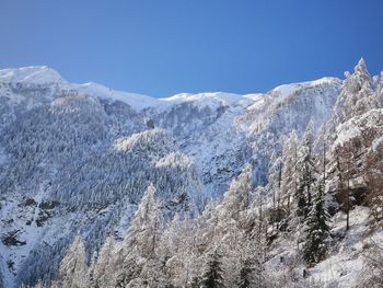 Chalet Glockner - Kärnten - Österreich