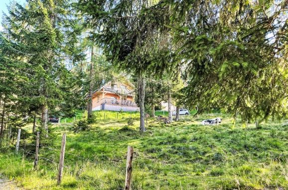 Außen Sommer 1 - Hauptbild, Chalet Tom, Sirnitz - Hochrindl, Kärnten, Kärnten, Österreich