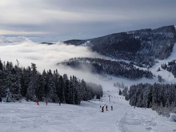 Chalet Gimpl am Hochrindl - Carinthia  - Austria