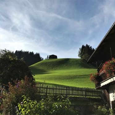 Außen Sommer 4, Chalet Sonnheim, Wildschönau, Tirol, Tirol, Österreich