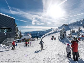 Chalet Wildenbach - Tirol - Österreich