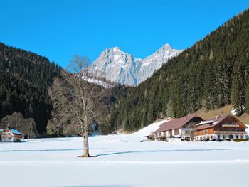 Chalet Walcher - Styria  - Austria