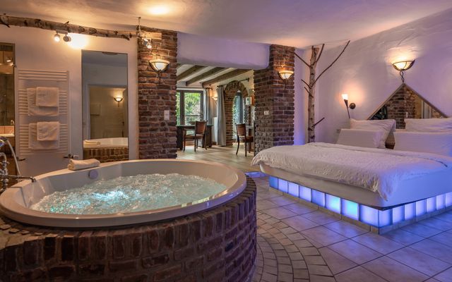 Unterkunft Zimmer/Appartement/Chalet: Blaue Wellness Suite