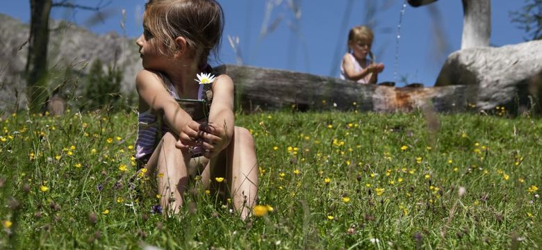 Das Kaltenbach - Naturhotel im Zillertal: Family summer