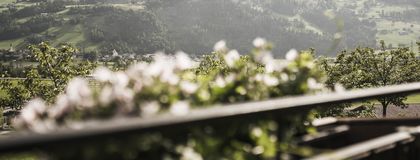 Das Kaltenbach - Naturhotel im Zillertal in Kaltenbach, Tirol, Österreich - Bild #4