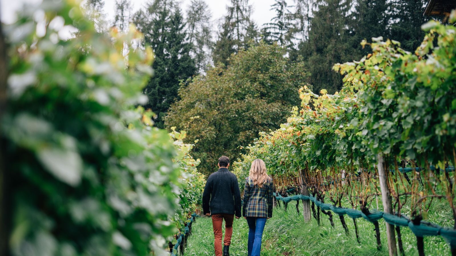 Bild #5 - Hotel Bad Fallenbach