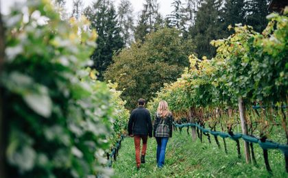Hotel Bad Fallenbach - Wellness hotel - Couple out for a walk