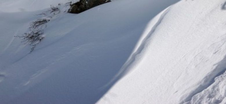 Sonne Lifestyle Resort Bregenzerwald: ski safari