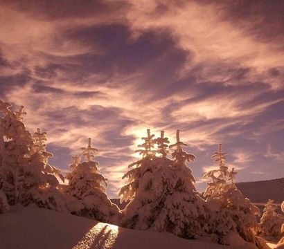 Sonne Lifestyle Resort Bregenzerwald: Ski maximum