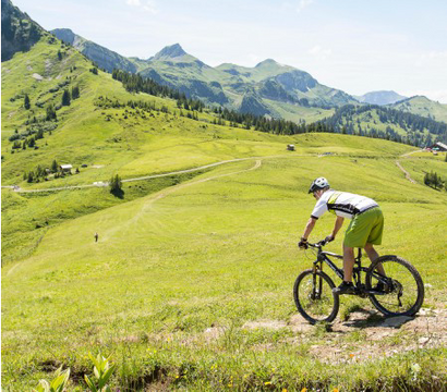 Sonne Lifestyle Resort Bregenzerwald: forest mountain bike