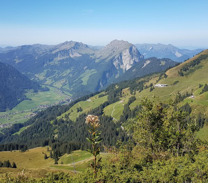 Sonne Lifestyle Resort Bregenzerwald: forest hiking time