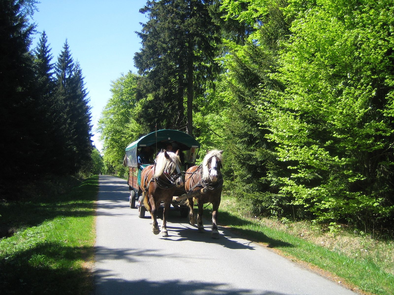 Kurzreise nach Holzhau image 9 - Berghotel Talblick