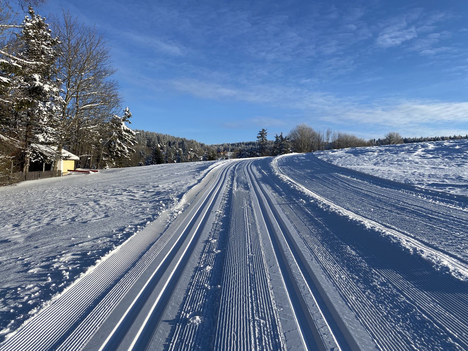 gespurte Loipe in Holzhau