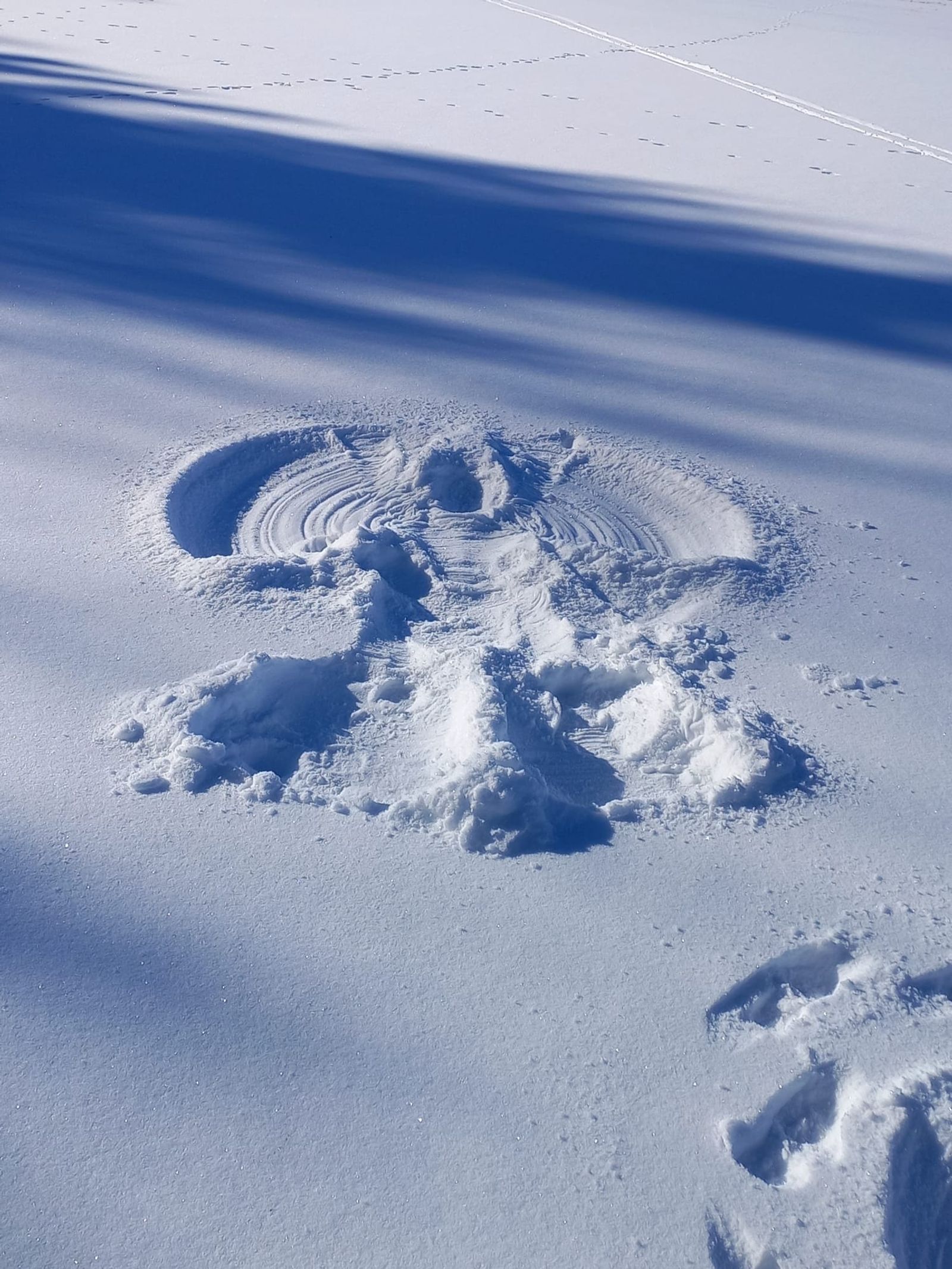 Valentins-Momente image 2 - Berghotel Talblick