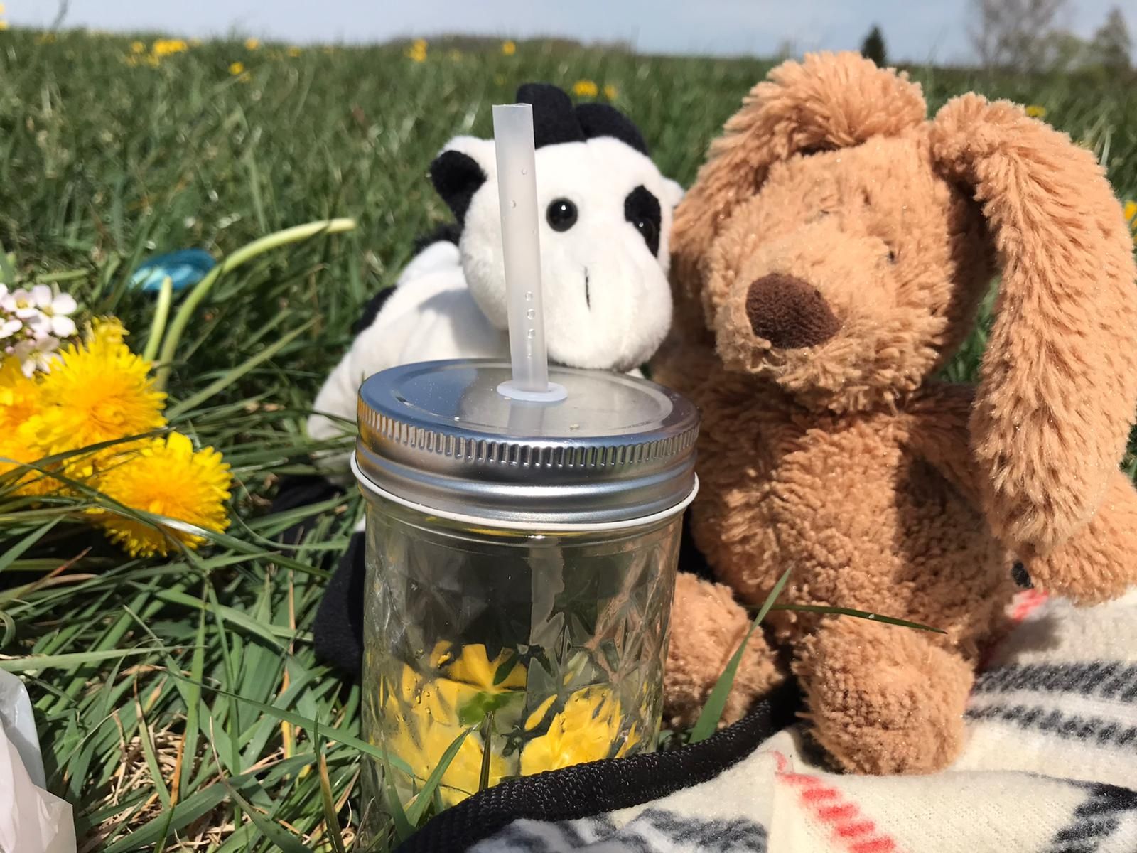 MEIN LIEBLINGSMENSCH & ICH image 1 - Berghotel Talblick