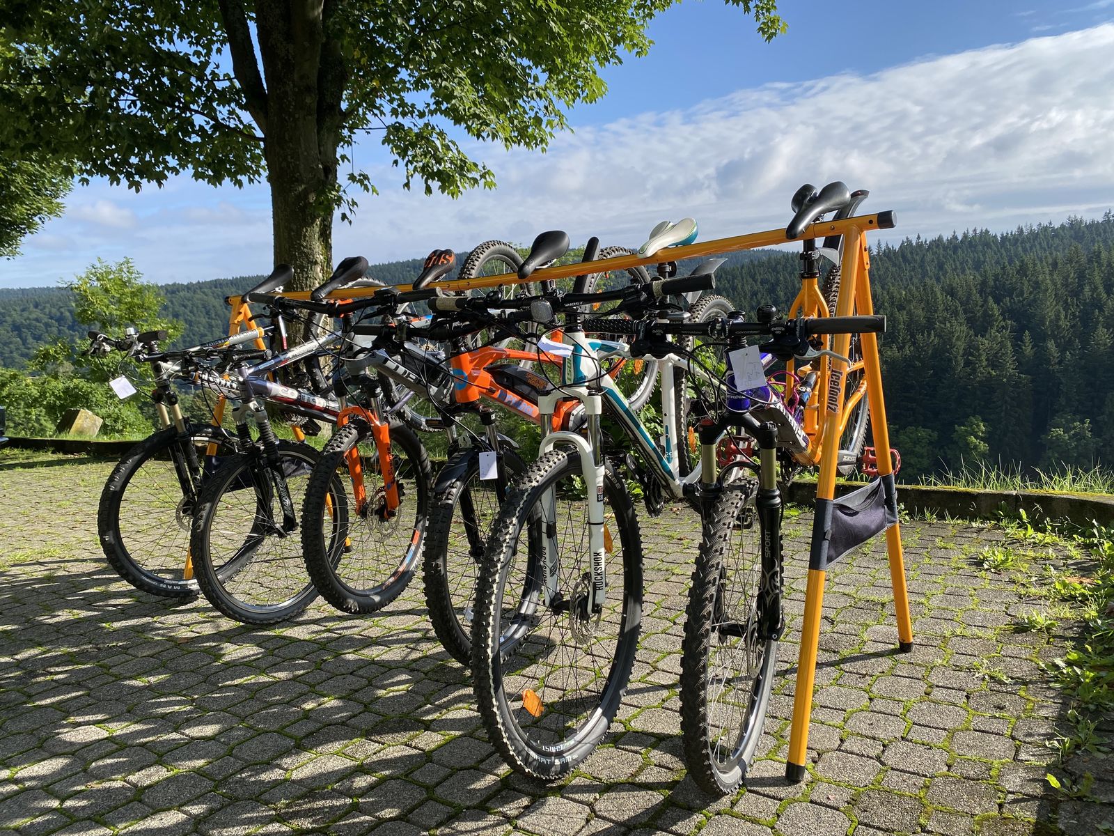 Talblick`s Aktivtage image 1 - Berghotel Talblick