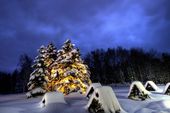 26.12.2025 - Feiertagsmittagsbuffet Kind 6-13 Jahre