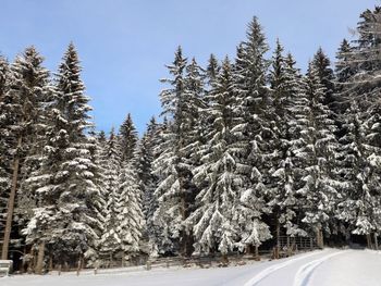 Chalet Klippitzperle - Kärnten - Österreich