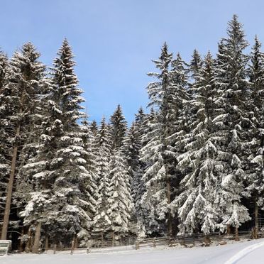 Außen Winter 28, Chalet Klippitzperle, Klippitztörl, Kärnten, Kärnten, Österreich